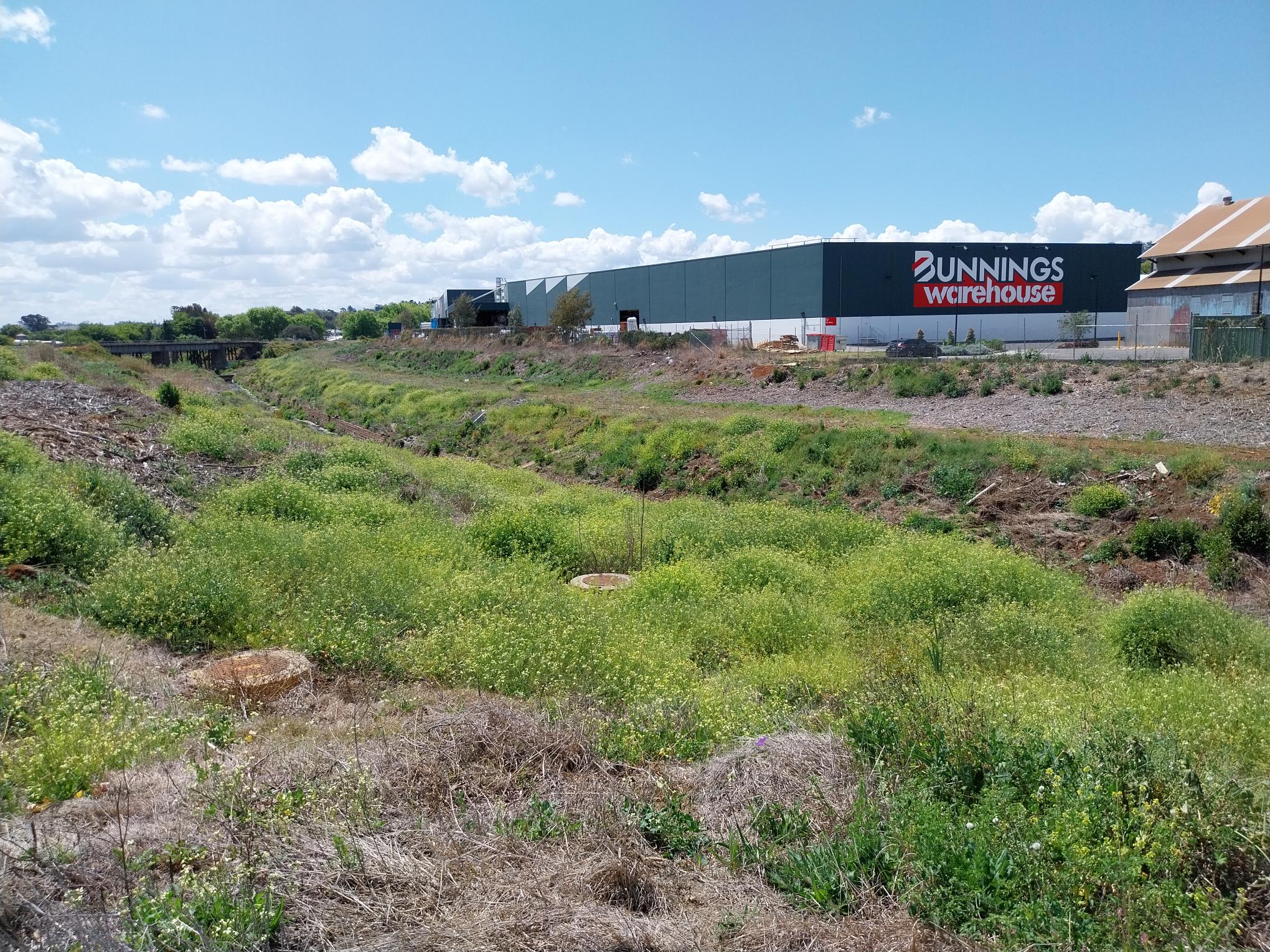 Gowrie Creek Weed Control
