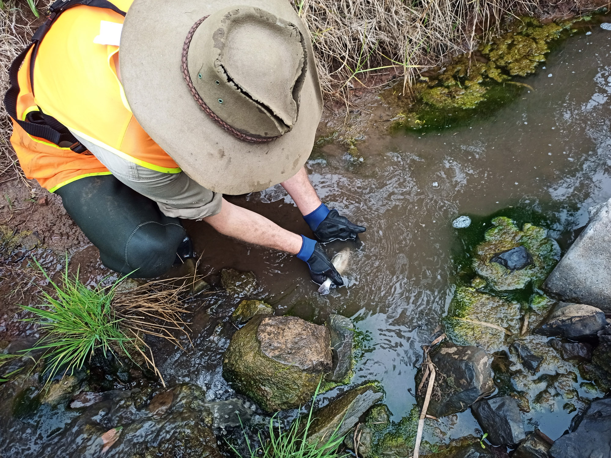 Toowoomba North Flood Recovery Project FSC Services